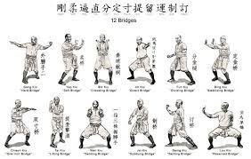 kung fu hung gar