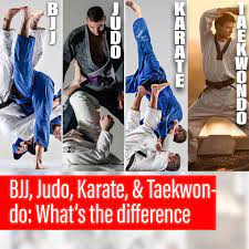 taekwondo judo