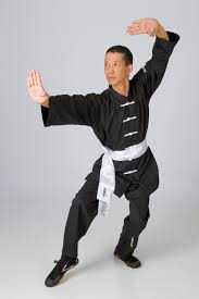 martial arts of kung fu