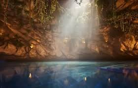 wellness nederland
