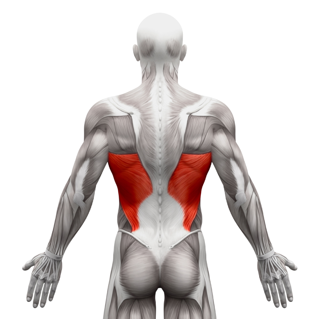 buik en rugspieren trainen thuis