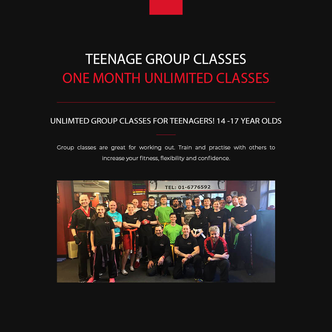 multilingual group- and private lessons in different martial arts