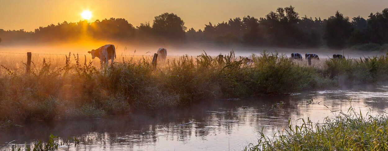 op vakantie in nederland
