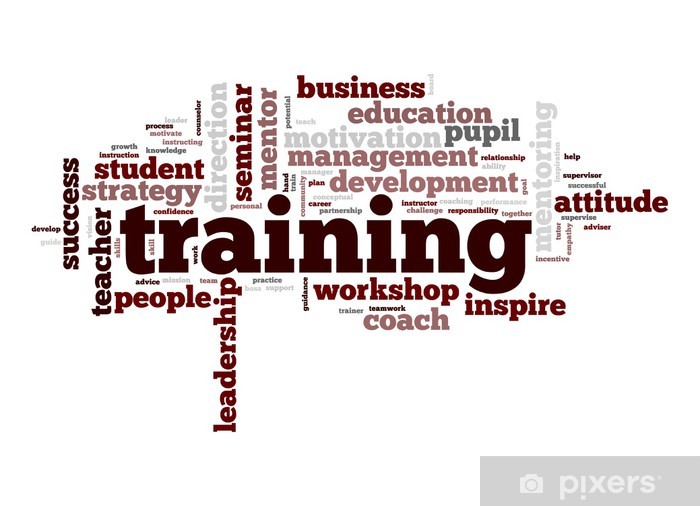 training synonym