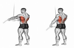 onderrug spieren trainen