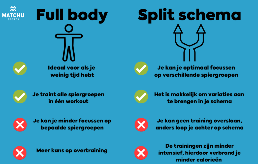 spiergroepen trainen